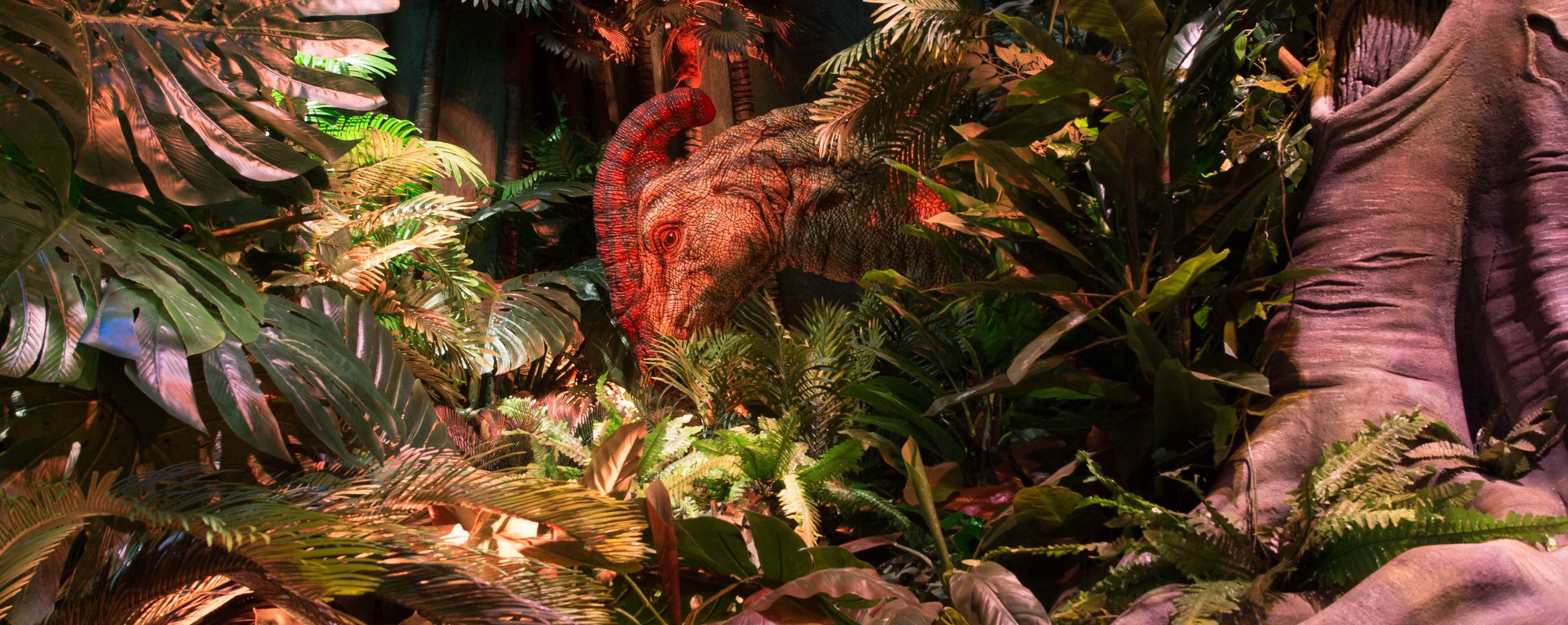 exhibition jurassic world